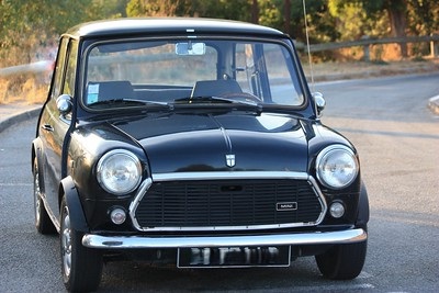 Mini Mayfair Mini Mayfair